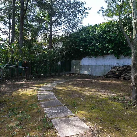 Pentalocale In Con Piscina A Numana - N232